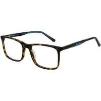 Pepe Jeans Brilframe PJ3441 c5 53