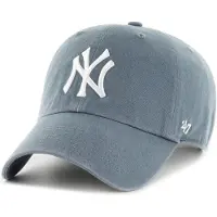 47 Mlb New York Yankees Pet