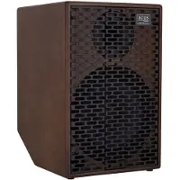 Acus Ferdi Simon 10 300W akoestische gitaarversterker