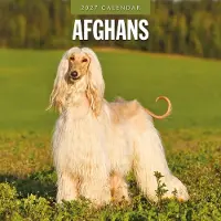 Red Robin Afghaanse Windhond Kalender 2027