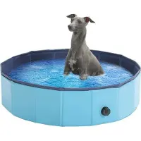 OEM PVC-hondenbad voor middelgrote honden - Opvouwbaar - Blauw - Maat L - 120x30 cm