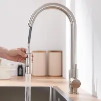 Lonheo Keukenmengkraan met uittrekbare douche, roestvrij staal, geschikt voor hoge druk, 2 straalstanden, geborsteld oppervlak