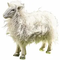 Loberon Decoratief schaap Justin