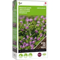 Buzzy Seeds Groenbemester Perzische Klaver (Trifolium Resupinatum) 200 G