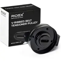 RIDEX 310T0369 Spanrol, poly V-riem