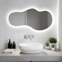 Coloray Toiletspiegel LED - LED Lampen Spiegel - 50 cm x 100 cm - LED Ondersteunde Spiegel - Moderne Organische Grote Spiegel LED - Grote Organische Badkamerspiegel LED - Koel Wit 6500K