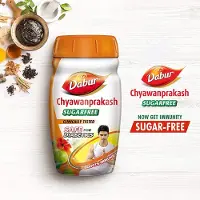 Dabur Original Indian - Chyawanprash - Chawanprash - SUGARFREE - SUIKERVRIJ - Boosts Immune System - 900gr - Safe for Diabetics