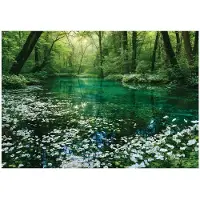 WALLARENA - Fotobehang - 250x175 cm - bos, rivier en bomen voor woonkamer en slaapkamer