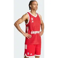 Adidas FC BAYERN MUNICH BB THUISSHIRT MEN
