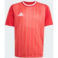 Adidas Entrada 26 Graphic Shirt Kids