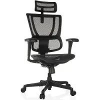 Hjh OFFICE Bureaustoel / directiestoel ERGOHUMAN SLIM ECO M GEN2 mesh zwart