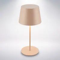 Briloner Nivo - Tafellamp oplaadbaar - dimbaar - warm wit licht 2.700K - voor binnen en buiten - 20,5 cm