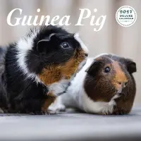 Magnet & Steel Cavia Kalender 2027 Deluxe