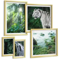 Coloray 5-Delige Schilderij Set - Tropische Natuur Met Wilde Dieren En Watervallen - 50 x 50 cm, 20 x 30 cm En 40 x 60 cm - Decoratieve Muurdecoratie - Slaapkamer - Interieur Decoratie