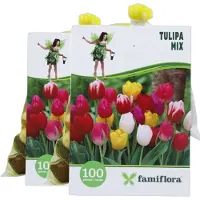Famiflora Tulipa Mix 2 x 100 - 200 bloembollen - Overvloed aan tulpen voor een vrolijke en levendige tuin - Creëert een kleurige en energieke buitenruimte die het voorjaar viert