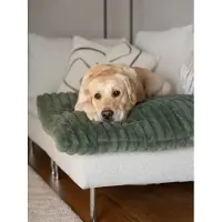 Trendpet Mora Hondenkleed Groen 60x45 cm – 5,5 cm Dik – Ribstof – Wasbaar – Comfortmat
