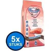 Renske 5x - Super Premium droog kat adult zalm 1,5kg - Kattenvoer - 1.5 kg