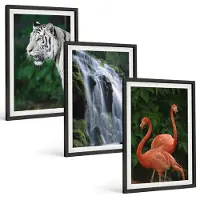 Coloray 3-Delige Schilderij Set - Tijgerwaterval En Roze Flamingo'S In De Natuur - 40 x 60 cm - Decoratieve Schilderijen - Wanddecoratie - Hal
