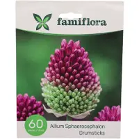 Famiflora Allium Sphaerocephalon - Voorjaarsbloeiers - 60 bloembollen - Elegante kogelvormige bloemen die je tuin direct verfijnd en levendig maken