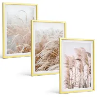 Coloray 3-Delige Schilderij Set - Plantenpatronen Met Bloemen En Bladeren (Posters) - 40 x 40 cm En 40 x 60 cm - Decoratieve Muurdecoratie - Slaapkamer - Stijlvolle Muurdecoratie