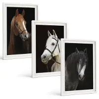 Coloray 3-Delige Schilderij Set - Portretten Van Paarden In Verschillende Vachtkleuren - 40 x 60 - Decoratieve Muurdecoratie - Slaapkamer - Stijlvolle Muurdecoratie