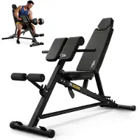 Trex Sport TX-200B – Fitnessbank voor Biceps & Kracht – Verstelbar – Trainingsbank – Verstelbare Rugleuning – Thuisgym – Belastbaar tot 250 kg