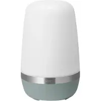 Blomus Buitenlamp Spirit Pine Gray L
