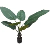 Pole to Pole Travellers Palm Tree 90cm