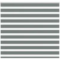 vidaXL Zebra rolgordijn 155x150 cm stofbreedte 150,9 cm donkergrijs