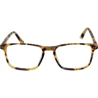Taylor Morris Brilrand SW16 C3 52