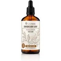 Lymeherbs Paardenbloemblad – tinctuur 1:3 (100 ml)