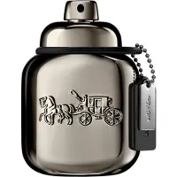 Coach Herengeuren Platinum Eau de parfum Heren 40ml