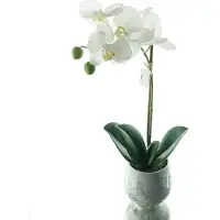 Gasper Vlinderorchidee Wit Keramiekpot 36 cm - Kunstbloemen