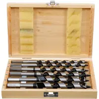 Bgs 2894: Vervangende boor voor slangen, 200 mm, 6-delig.