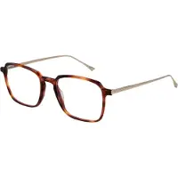 Taylor Morris Brilrand SW3 C7 53
