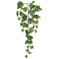 Gasper Engelse Klimop Groen als Slinger 39 Bladeren 63 cm
