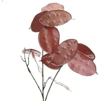Dpi Tak met Bruinrode Vruchttrossen 74 cm - Kunstplanten