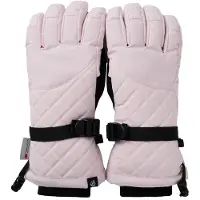 Dare 2b Ii Summit Handschoenen