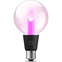 Philips Hue Lightguide Globe White and Color E27