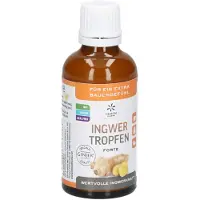 Hager Pharma GmbH Ginjer Ingwer Druppels - Forte, 50 ml