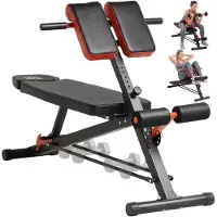 HOMCOM Hantelbank, fitnessbank, schuine bank, multifunctionele buikspiertrainer, staal