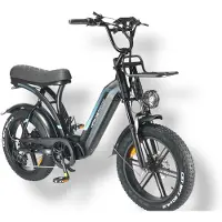Vifa Q8 E-Fatbike I 48V 20Ah Accu Krachtige 250W Motor Dubbele Vering en Hydraulische Remmen
