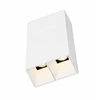 Kreon - Prologe 40 double, deep louvre, LED gear excl Spot (20°)