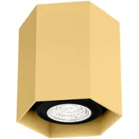Wever & Ducre - Hexo Mini Ceiling Surface 1.0 PAR16 spot