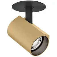 Wever & Ducre Ceno Semi- Recessed 1.0 LED Inbouwspot Black Matt|Champagne | False Ceiling | 2700K