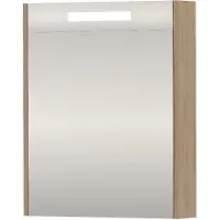 Proline SPK Premium Spiegelkast LED 60x14x74 cm Ideal Oak