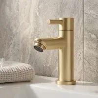 Saniclear Brass fonteinkraan messing geborsteld - goud mat