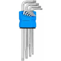 Richmann Torx sleutelset - Torx schroevendraaierset - met opbergband - 9-delig