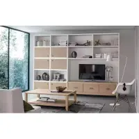 AEA Wohnwand TV-Schrank Couchtisch Wohnzimmer Set Wohnmöbel Wohnzimmer