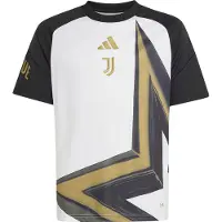 Adidas Functioneel shirt 'Juventus Turin 26/27 Pre-Match' curry / basaltgrijs / zwart / wit